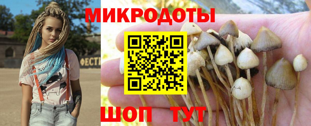 хочу   Галлюциногенные грибы мухоморы  Вход с VPN  Воркута 